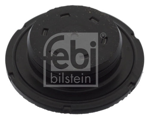 Frost Plug